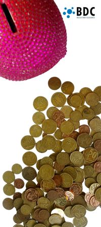 Debt Review in or out of community of property 2